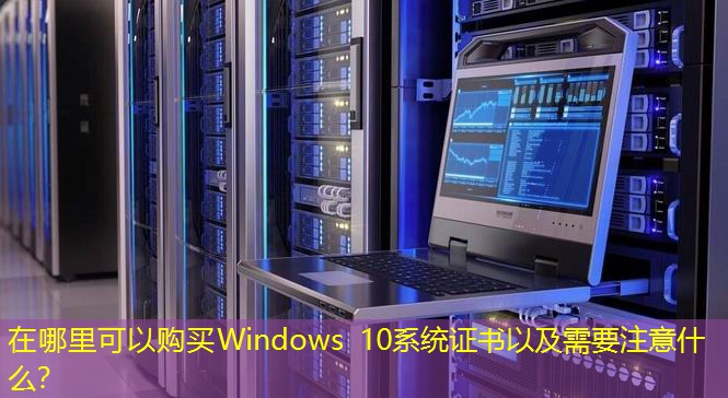 在哪里可以購(gòu)買(mǎi)Windows 10系統(tǒng)證書(shū)以及需要注意什么？