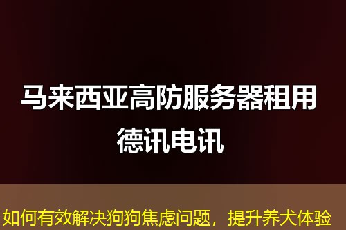 如何有效解決狗狗焦慮問題，提升養(yǎng)犬體驗