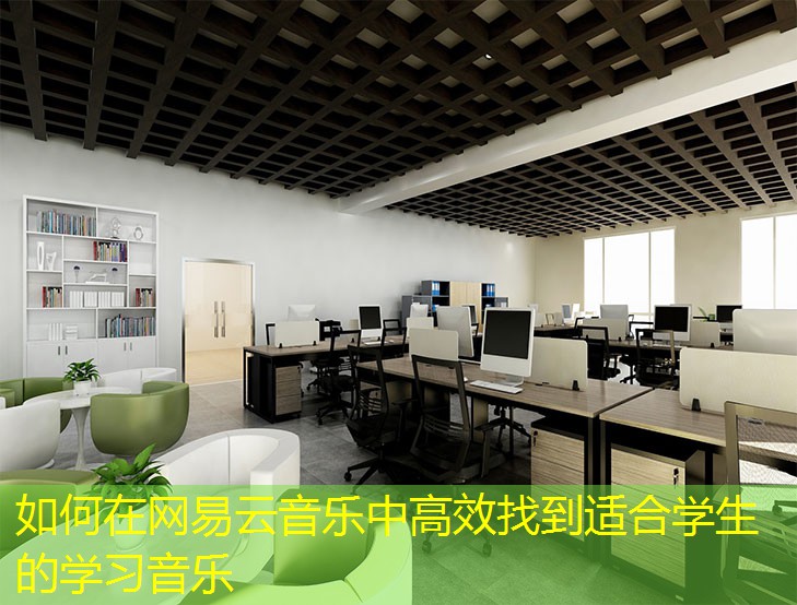如何在網(wǎng)易云音樂(lè)中高效找到適合學(xué)生的學(xué)習(xí)音樂(lè)