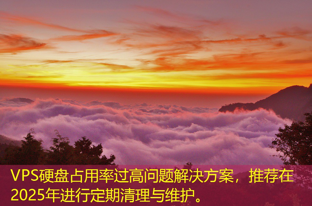 VPS硬盤占用率過高問題解決方案，推薦在2025年進(jìn)行定期清理與維護(hù)。