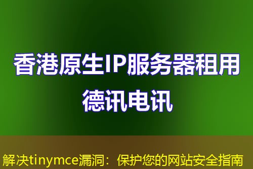 解決tinymce漏洞：保護您的網站安全指南